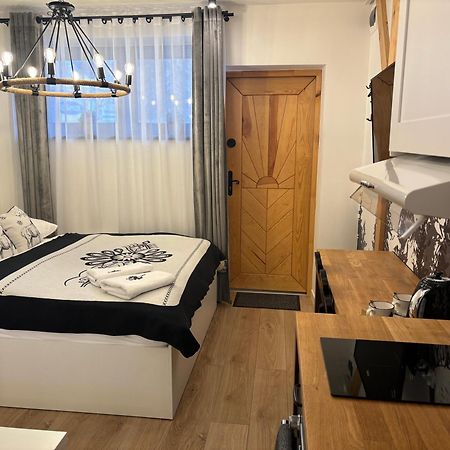 Apartament Small Czarny Potok Krynica-Zdrój Exterior foto
